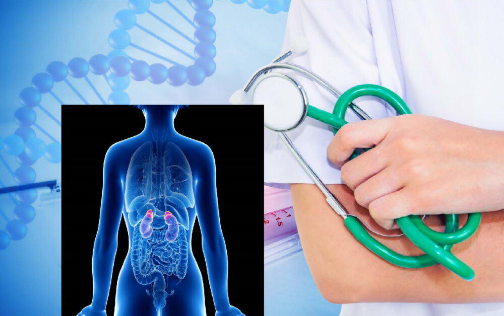 內分泌檢測 - 北大醫事X光檢驗所 1