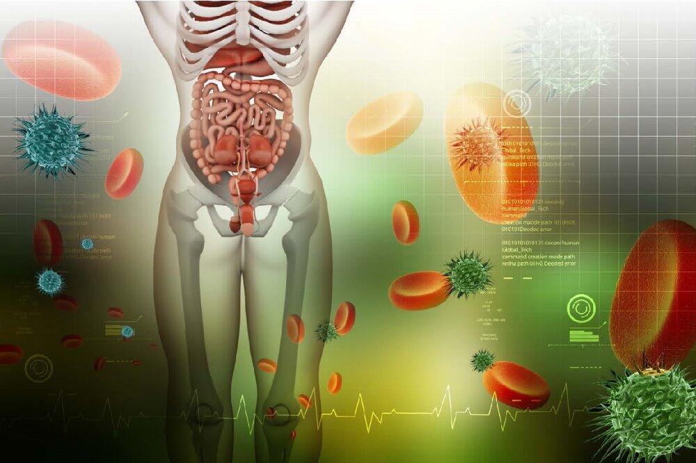 全身性病篩檢【愛滋病篩檢】【STD CHECK】- 北大醫事X光檢驗所 3