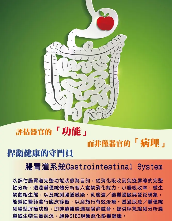 全身健康檢查｜腸胃道系統功能檢測與腸道健康分析指南